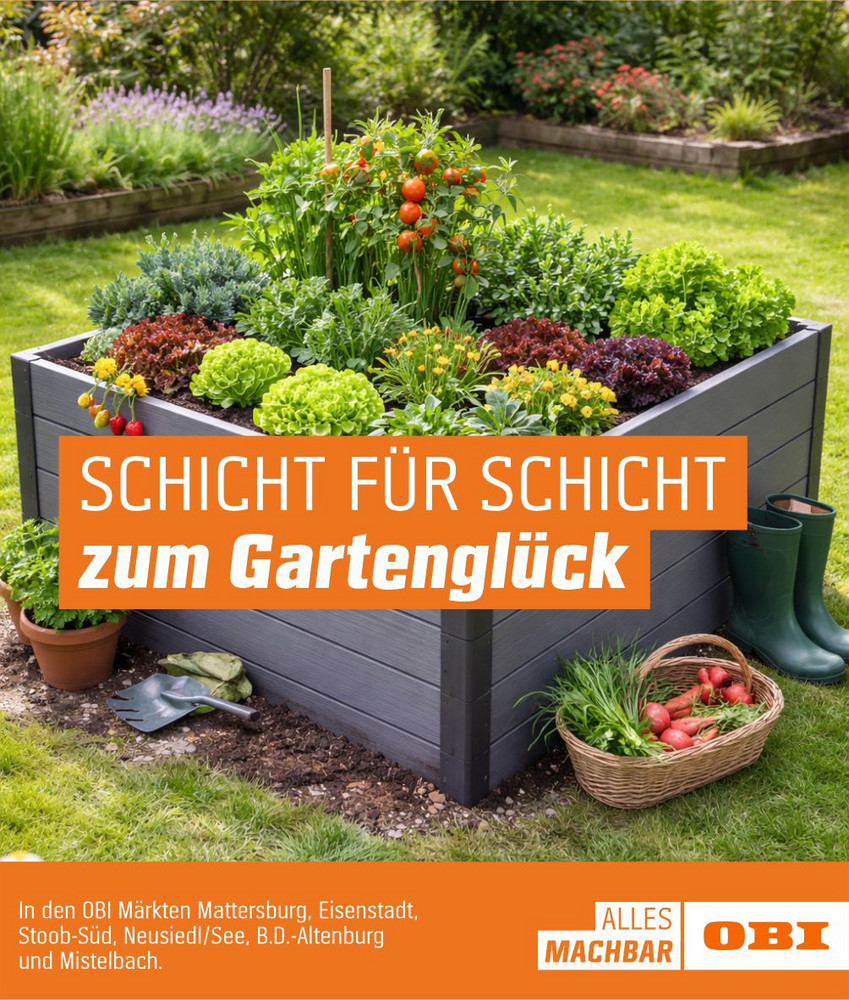 bepflanztes Hochbeet Hochbeet Tipps